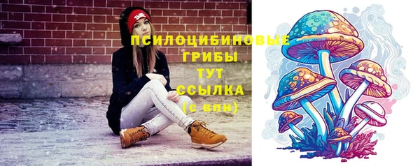 гидра Козловка
